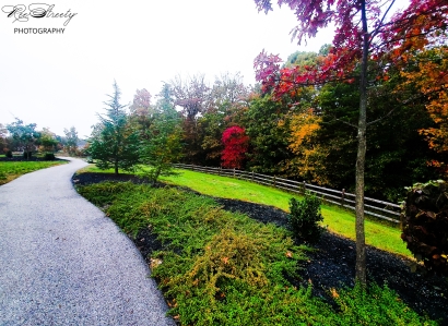 Autumn Outing