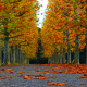 Autumn Time