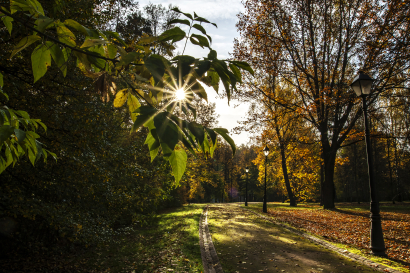 In the warm autumn rays