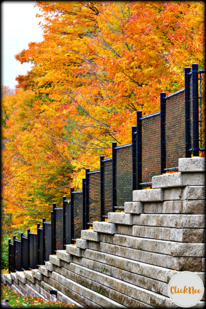 Fall colors