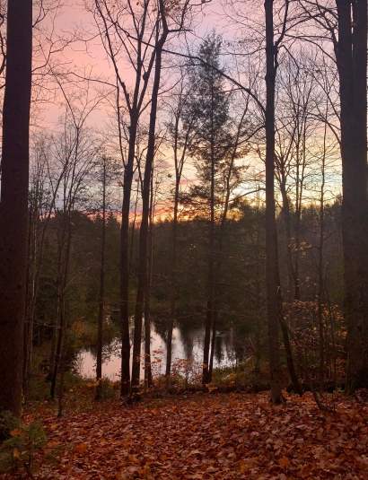 Golden Tranquility
