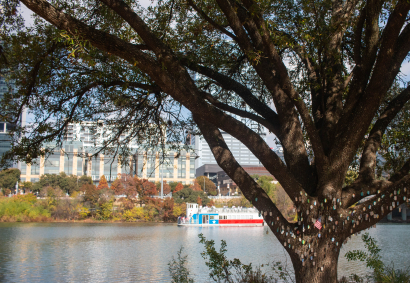 Austin memorial tree in Fall