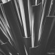 Yucca