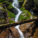 Woodruff Branch Falls