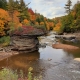 Autumn on the river