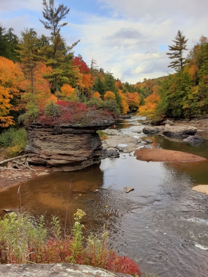 Autumn on the river