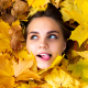 2020fallcontest