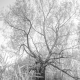 Loneliness
