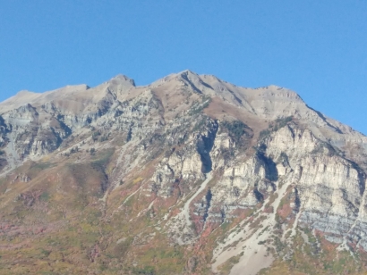 Fall