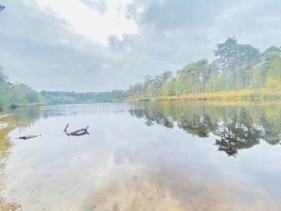 The Autum lake