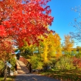 fall-cornwall-canada