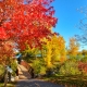 Fall Cornwall Canada
