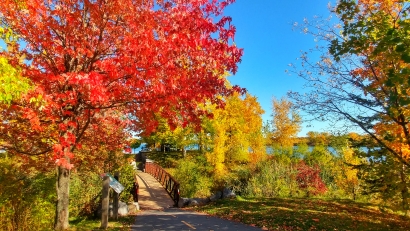 Fall Cornwall Canada