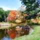 Reflection in the pond/2020 fall