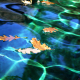 Autumn in the water