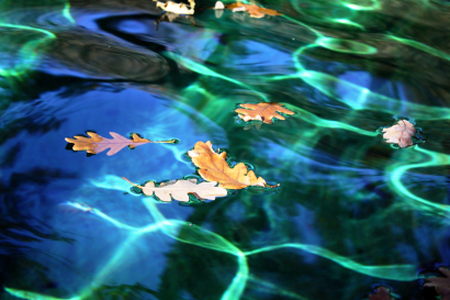 Autumn in the water
