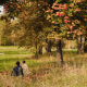 Autumn #3