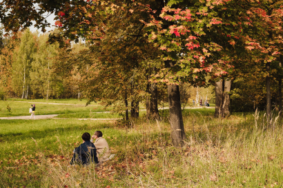 Autumn #3