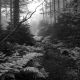 Went for Sunset and all I got was this stinkin trail....