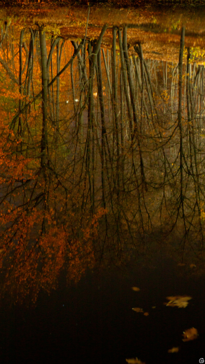 Space autumn
