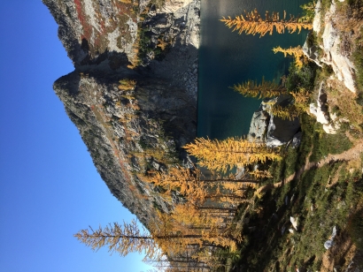 Larches!