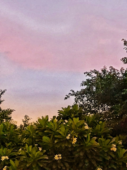 Beautiful evening