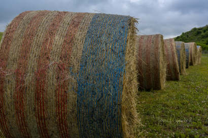 Hay!
