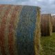 Hay!