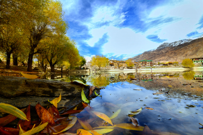 Fall in Nako Lake