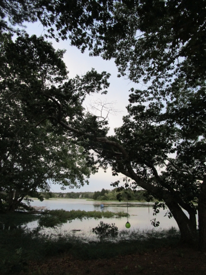 High Tide