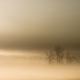Heavy Fog...Early Morning