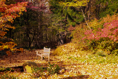 Neverland