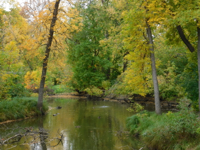 Duck Pond in fall
