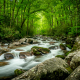 Smoky Mountain Streams