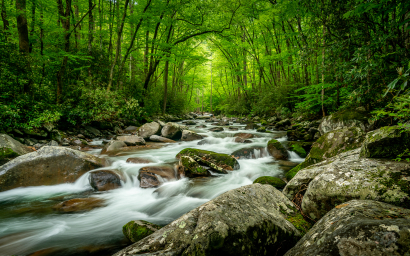 Smoky Mountain Streams