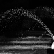 Sprinkler Swans