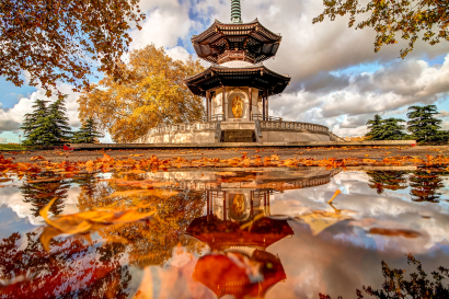 Colorful Reflection
