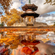Colorful Reflection