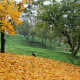 Autumn is coming