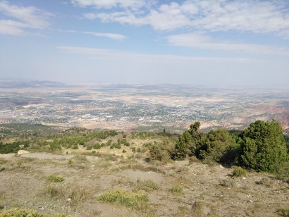 Cedarcite