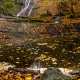 Autumn Along Elrod Falls