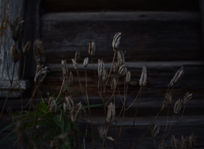 Autumn time decay