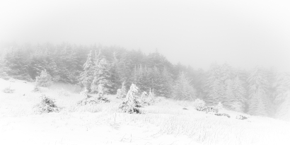 Whisper of Winter
