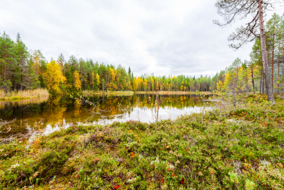 Small autumn lake