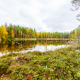 Small autumn lake