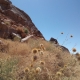 Mountain flora