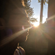 Shafts of Sun