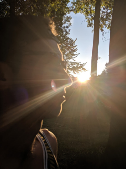 Shafts of Sun