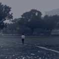 a-winter-morning