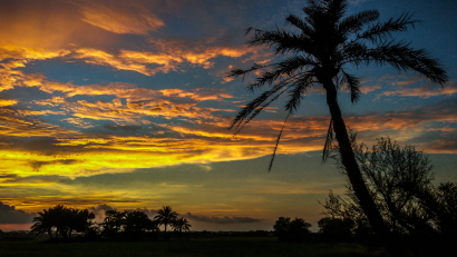 Autumn Dusk